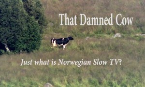 That Damned Cow