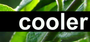 cooler-projects